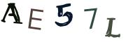 Image CAPTCHA