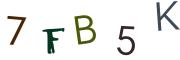Image CAPTCHA