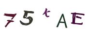 Image CAPTCHA