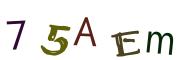 Image CAPTCHA