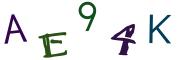 Image CAPTCHA