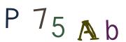 Image CAPTCHA