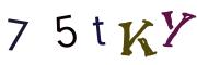 Image CAPTCHA