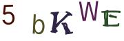 Image CAPTCHA