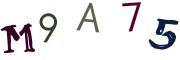 Image CAPTCHA