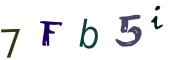 Image CAPTCHA