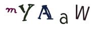 Image CAPTCHA