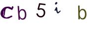 Image CAPTCHA