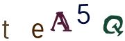 Image CAPTCHA