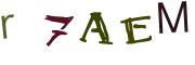Image CAPTCHA